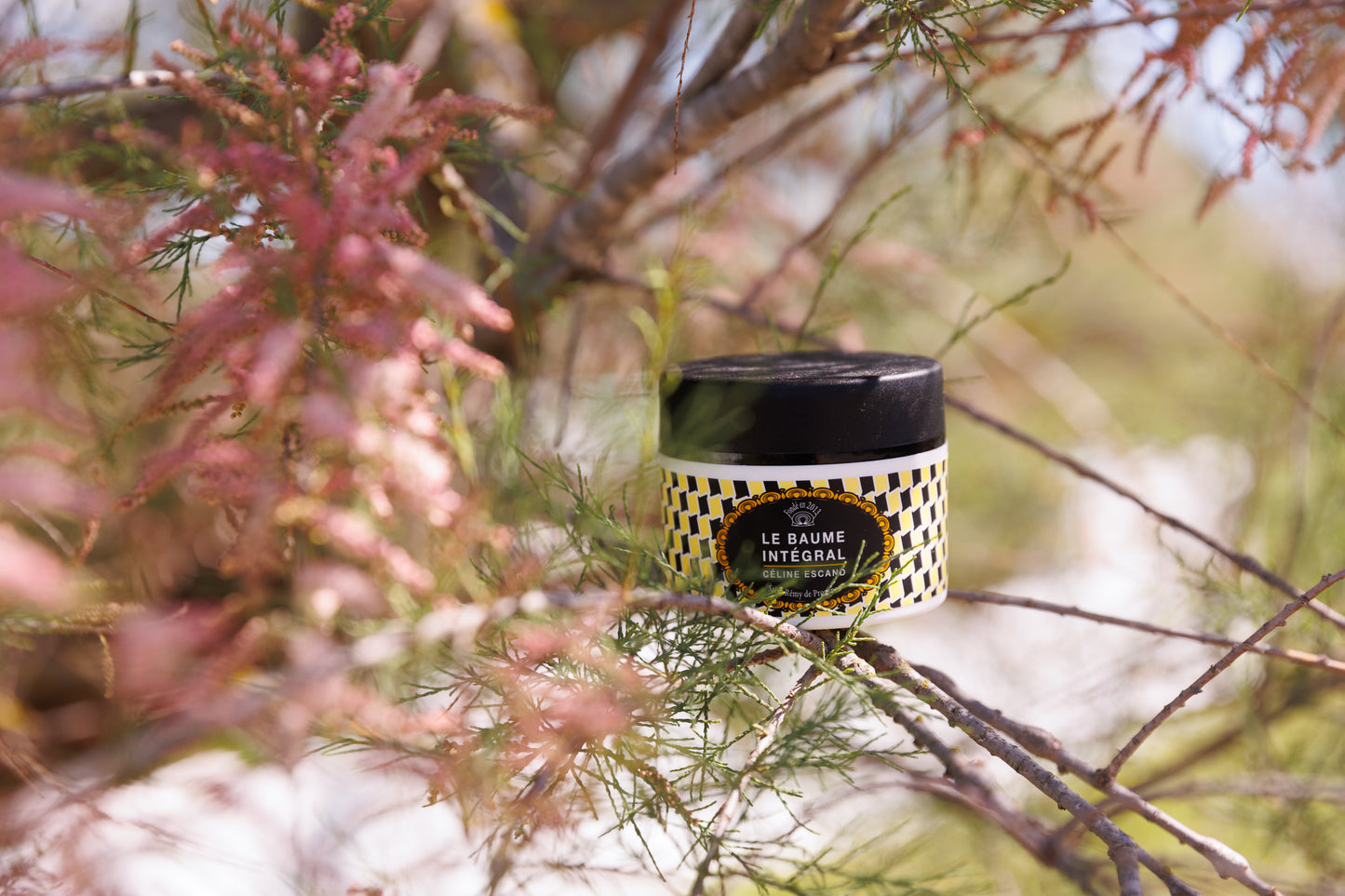 N.4 - AUX HUILES DE FRUITS